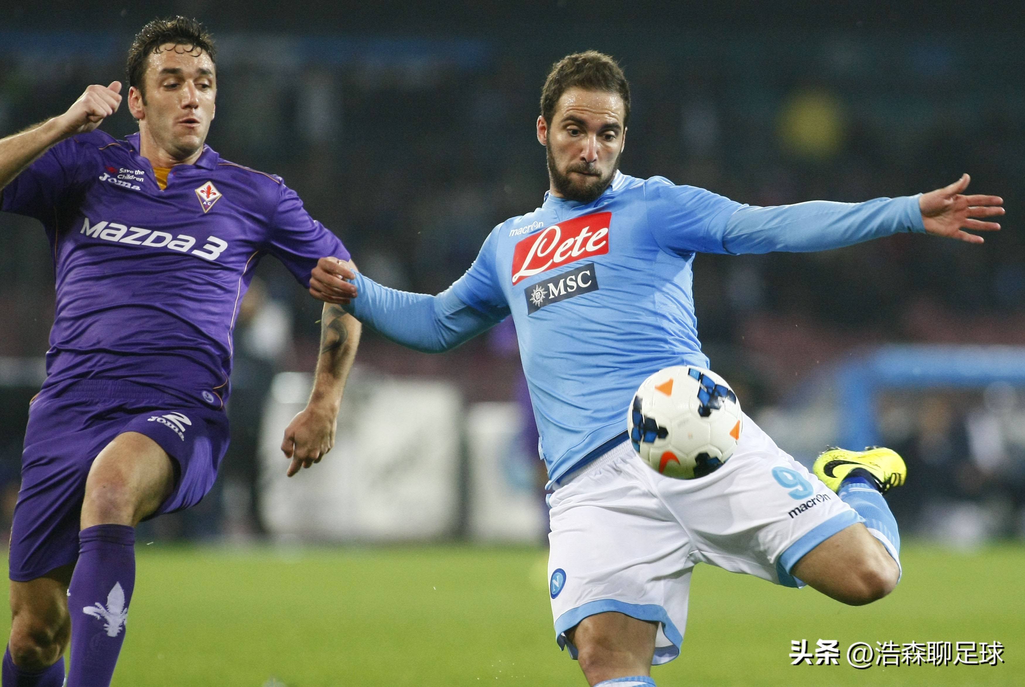 欧联国际赛鸽 欧联国际赛鸽